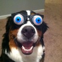 สมาชิกหมายเลข 1941733