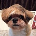 สมาชิกหมายเลข 3151576