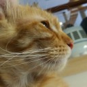 สมาชิกหมายเลข 3151724