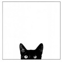 โอ้ละหนอ