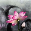 สมาชิกหมายเลข 1094194