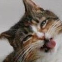 สมาชิกหมายเลข 1510889