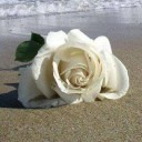 สมาชิกหมายเลข 1510950