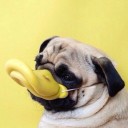 ต้มยำหัวเป็ด