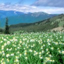 สมาชิกหมายเลข 1941964