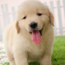 สมาชิกหมายเลข 1942250