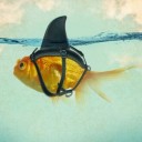 เด็กเลียบหาด