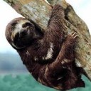 สมาชิกหมายเลข 1113727