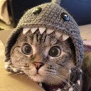 สมาชิกหมายเลข 1134115