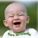 ปะการัง กัลปังหา ปากกาทะเล