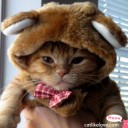 สมาชิกหมายเลข 3152898