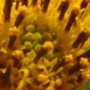 สวนสายลม