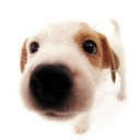 สมาชิกหมายเลข 716456