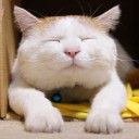 สมาชิกหมายเลข 1102382