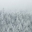 สมาชิกหมายเลข 1275480