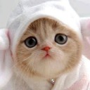 สมาชิกหมายเลข 2731641