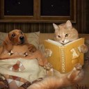 สมาชิกหมายเลข 2732623