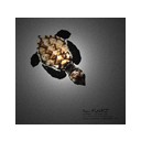 ข้าวเหนียวไก่ทอด