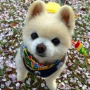 สมาชิกหมายเลข 827033