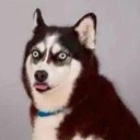 สมาชิกหมายเลข 3155030