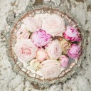 สมาชิกหมายเลข 1513689