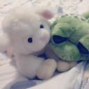 สมาชิกหมายเลข 1944987