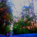 สมาชิกหมายเลข 2339768