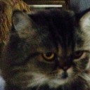 สมาชิกหมายเลข 2339841