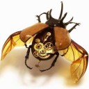 แมลงยนต์