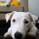 สมาชิกหมายเลข 2733883