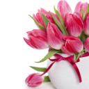 สมาชิกหมายเลข 3156071