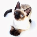 สมาชิกหมายเลข 1514915