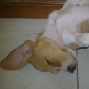 สมาชิกหมายเลข 969698