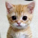 สมาชิกหมายเลข 2056289