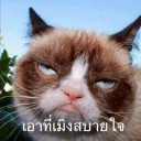 สมาชิกหมายเลข 2242569