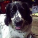 สมาชิกหมายเลข 1513472