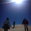 สมาชิกหมายเลข 2341044