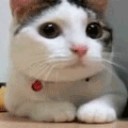 สมาชิกหมายเลข 705720