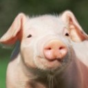 สมาชิกหมายเลข 708566