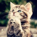 สมาชิกหมายเลข 1131492