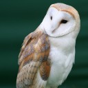 สมาชิกหมายเลข 1405075