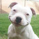 สมาชิกหมายเลข 1106414