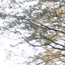 สมาชิกหมายเลข 1888460