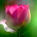 เจอใครผมก็รัก