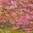 สมาชิกหมายเลข 949791