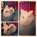 สมาชิกหมายเลข 718993