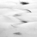 สมาชิกหมายเลข 1516575