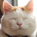 สมาชิกหมายเลข 719278