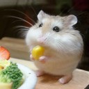 สมาชิกหมายเลข 1943391