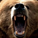 หมีปามชวนชิม